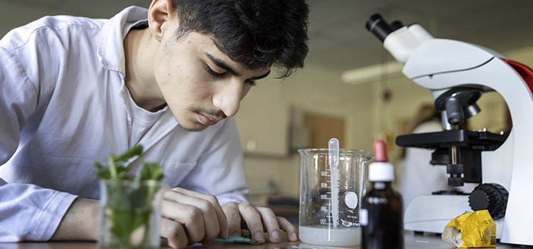 Bild på gymnasieelever.